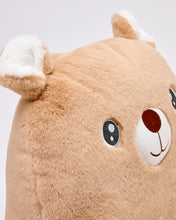 Snuggz Teddy Bear Cuddle Cushion