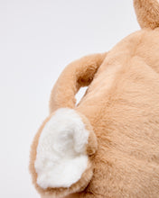 Snuggz Teddy Bear Cuddle Cushion