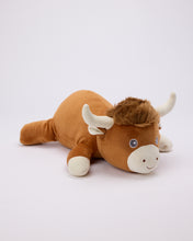 Snuggz Highland Cow Weighted Toy