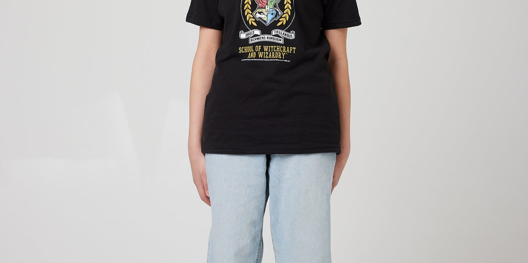 Hogwarts_tee_1393.jpg
