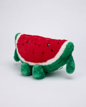Snuggz Watermelon Weighted Toy