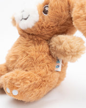 Snuggz Puppy Beanie Plush Toy